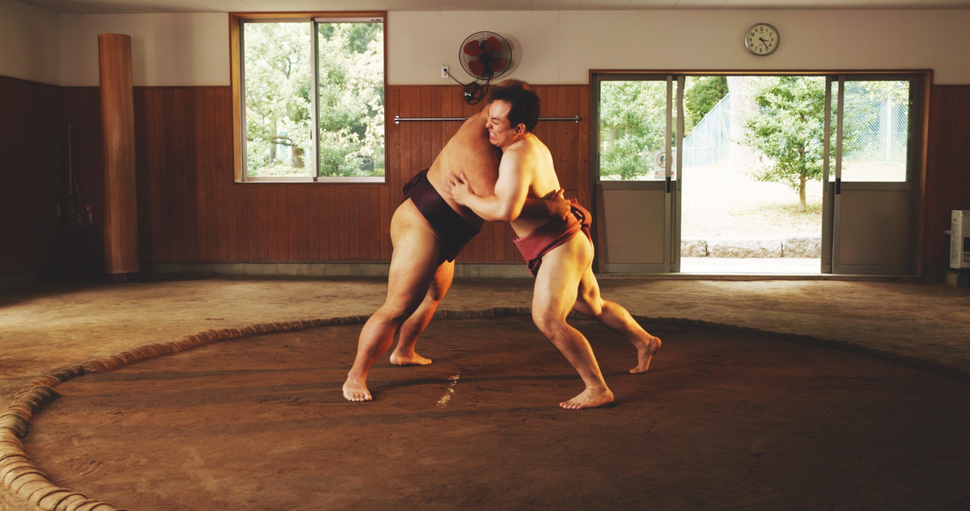 Ver sumo en vivo