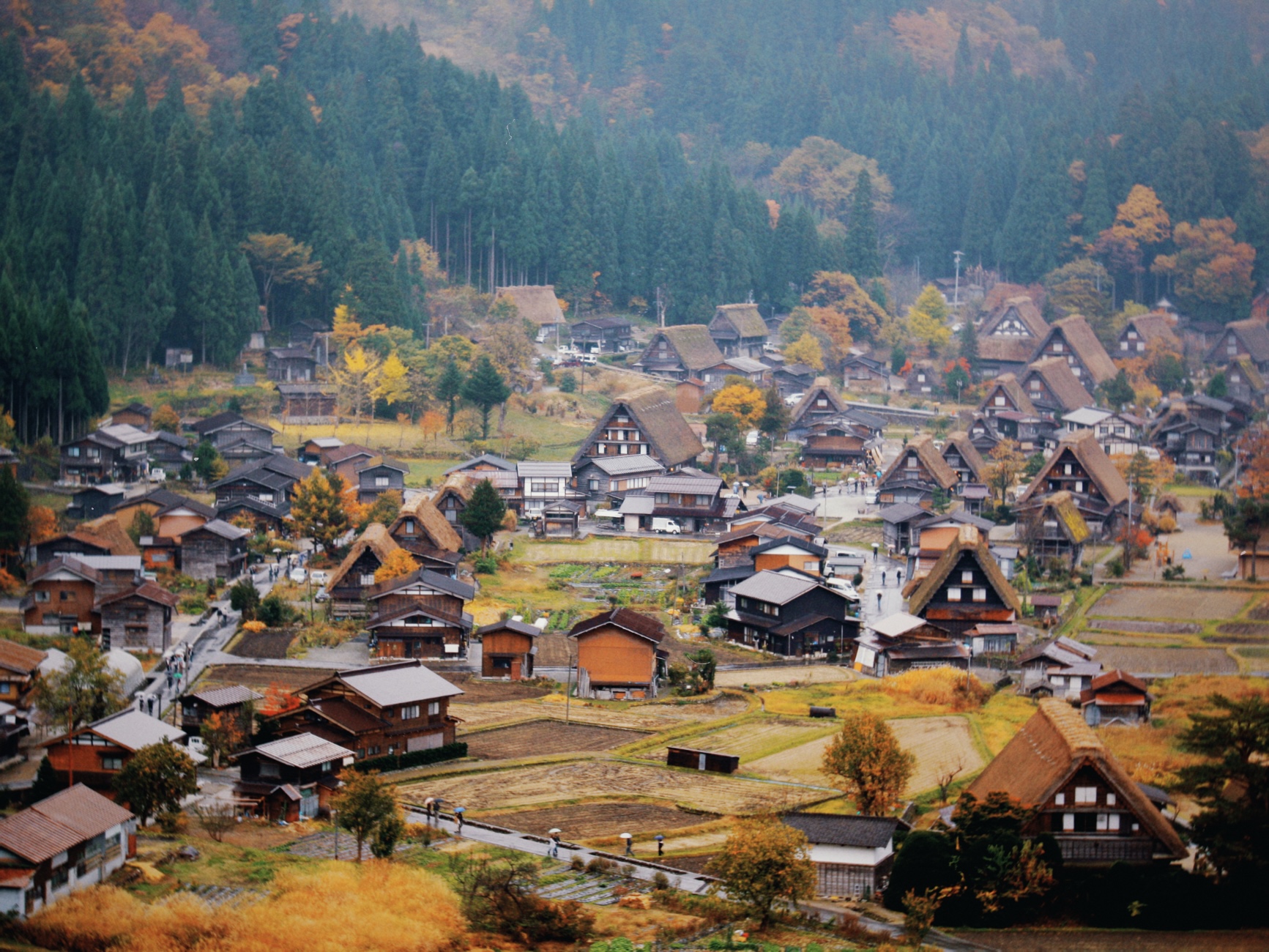 Las casitas de Shirakawago desde el mirador