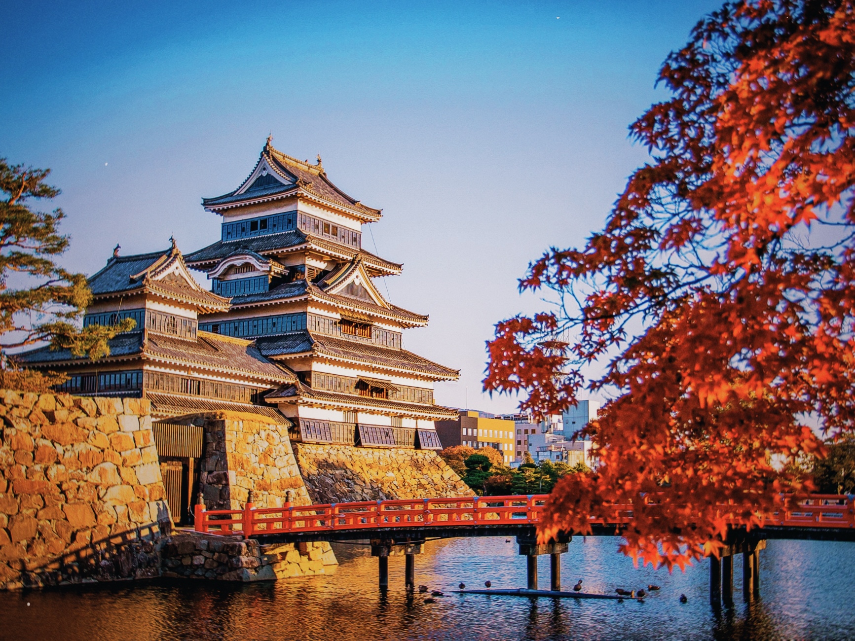 Castillo de Matsumoto iluminado al atardecer