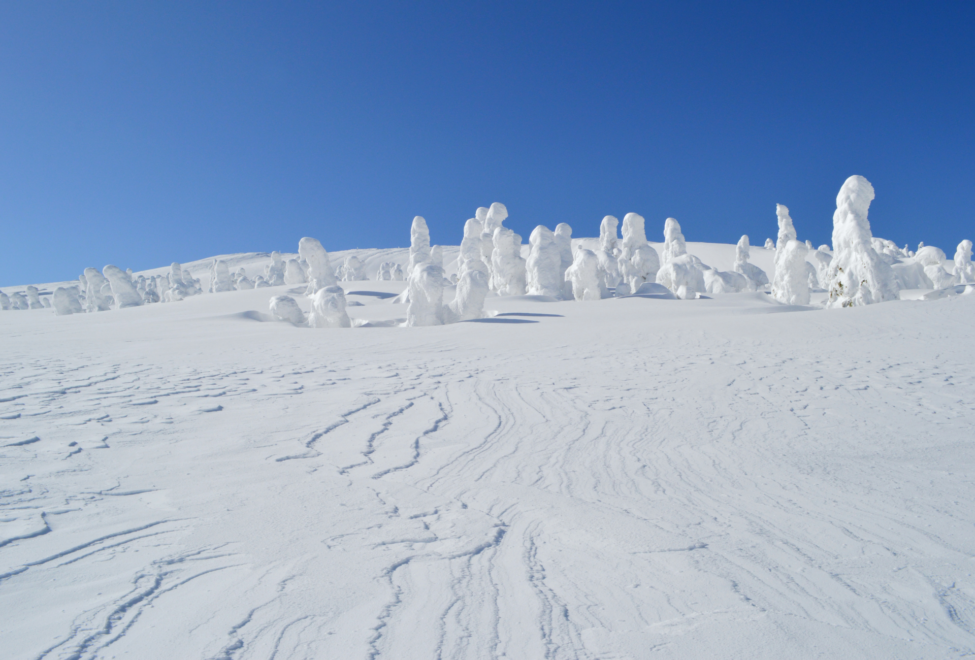 Uno de los paisajes típicos invernales de Yamagata