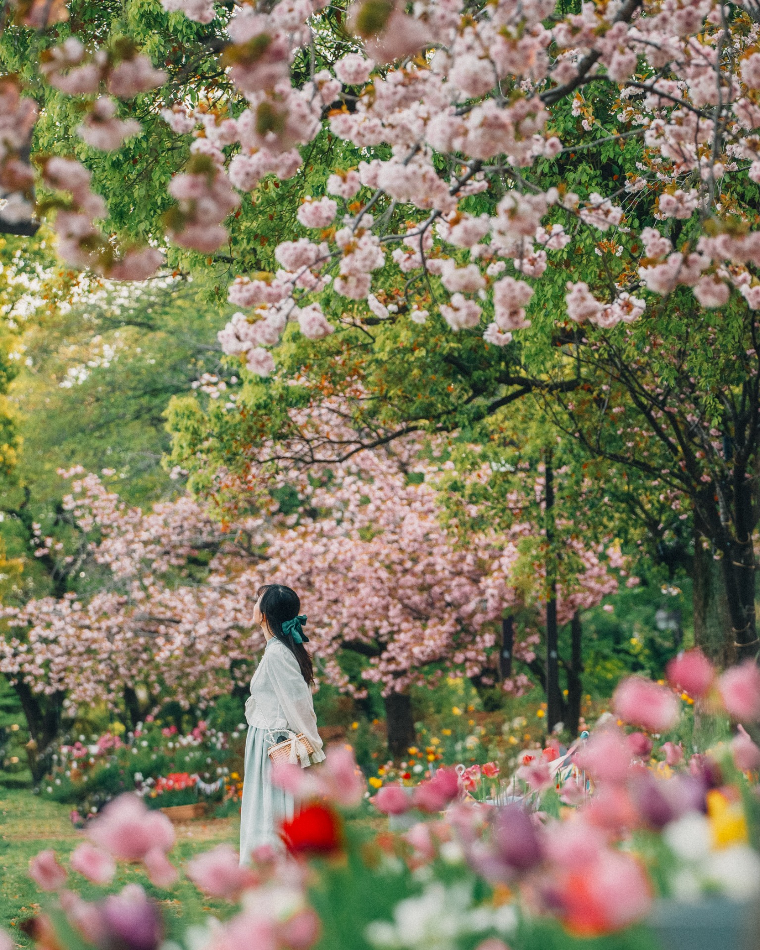 Un instante durante la floración