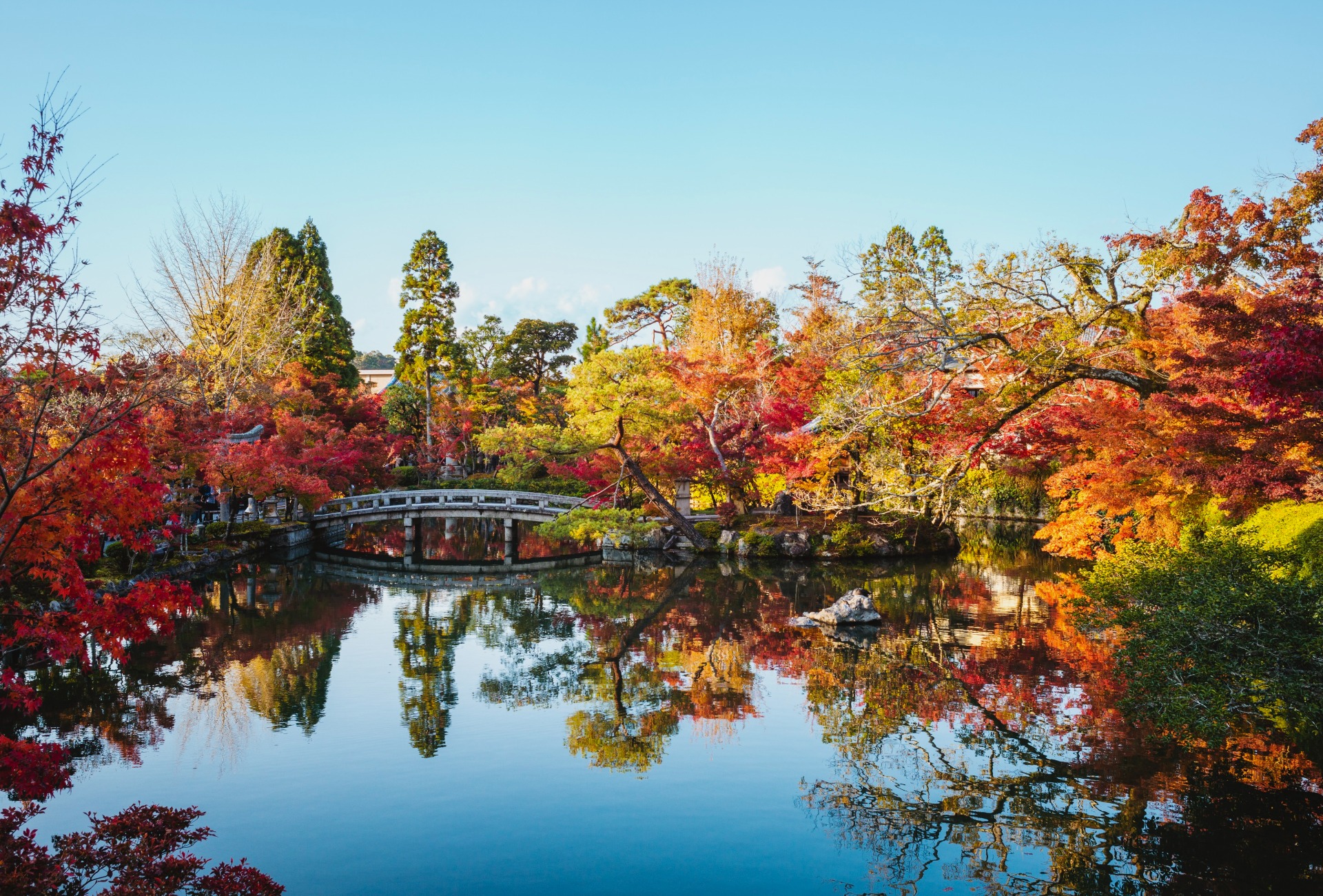 Árboles con los colores del otoño en un parque japonés