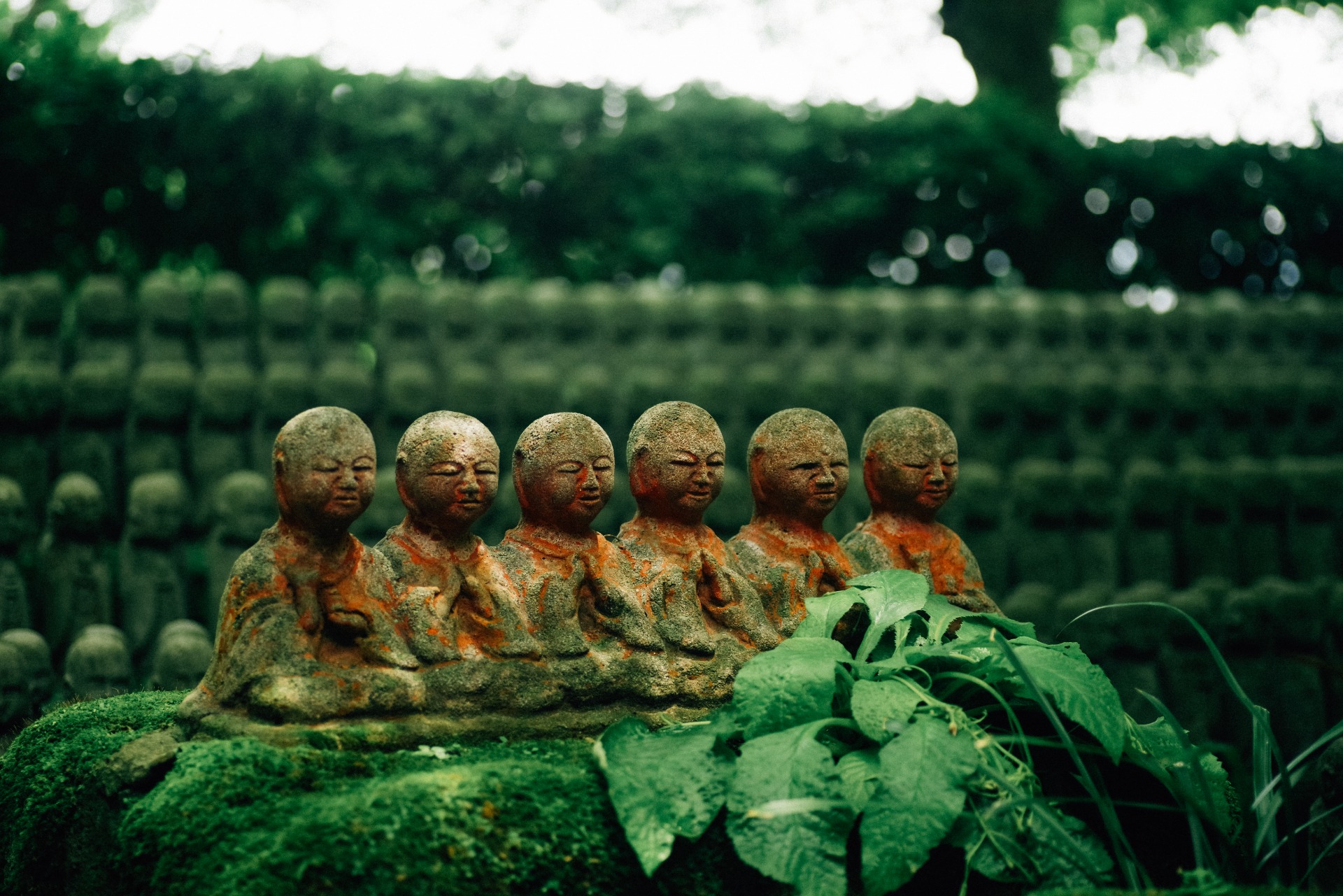 Estatuas jizo en un templo budista