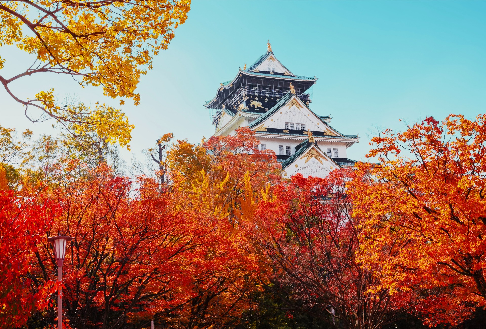 Vistas del castillo de Osaka durante el momiji