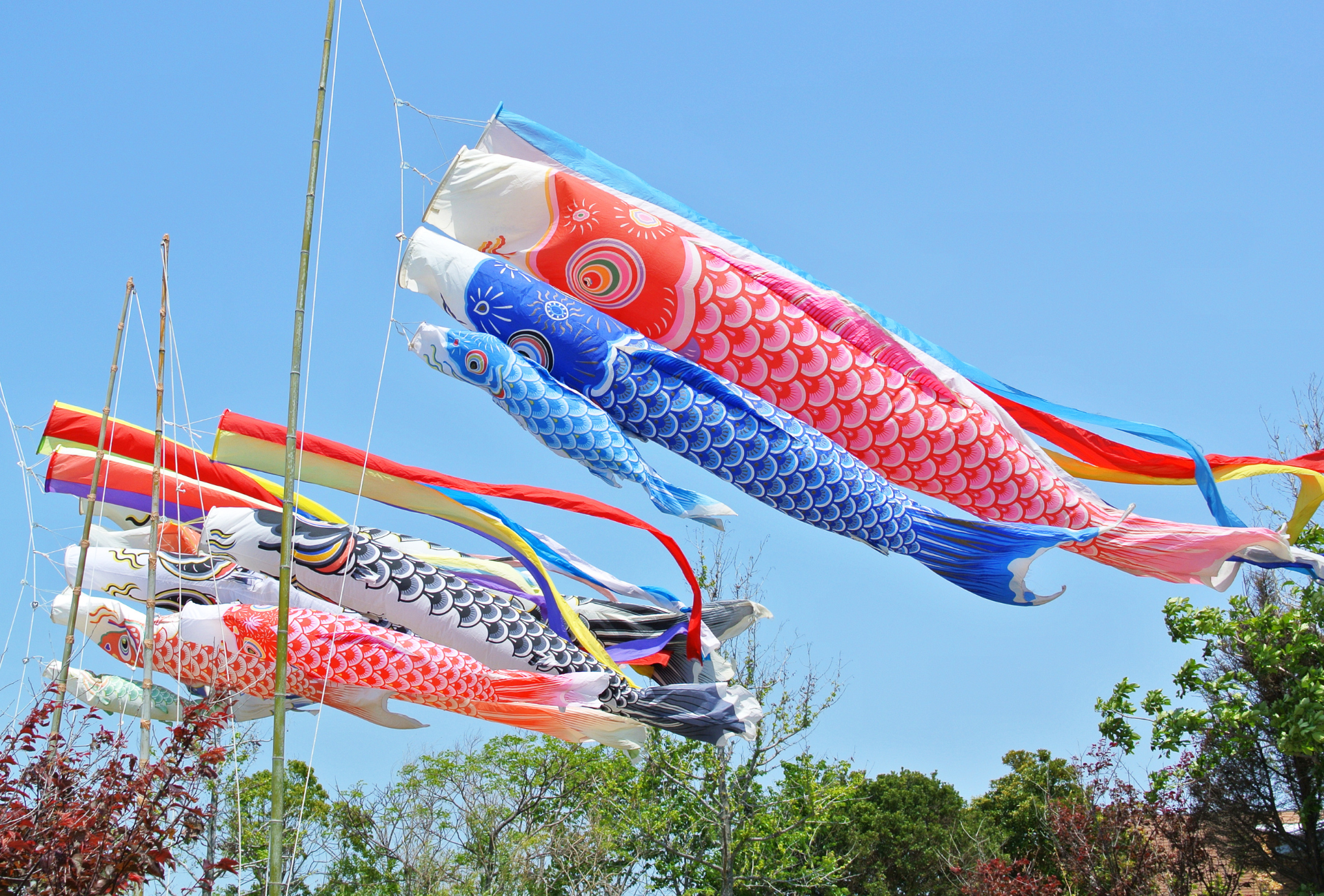 Carpas con forma de carpa durante la Golden Week