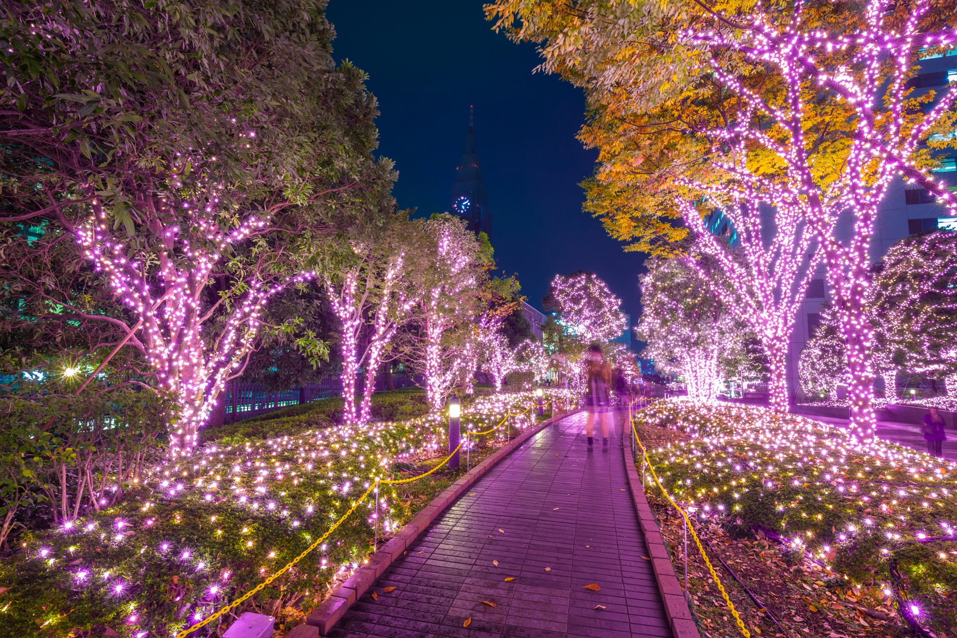 Iluminaciones invernales en Japón