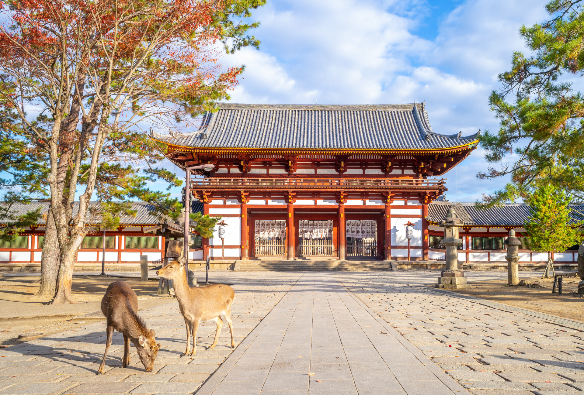 Dos ciervos frente a la puerta principal del templo Tōdai-ji en Nara