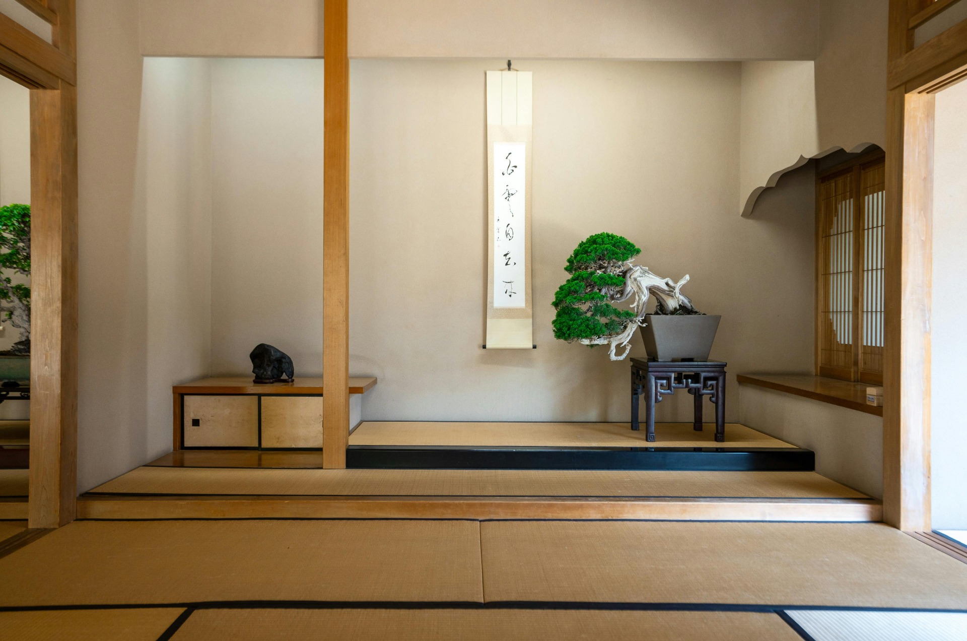 Bonsái estilo kengai en una sala de tatami en Japón