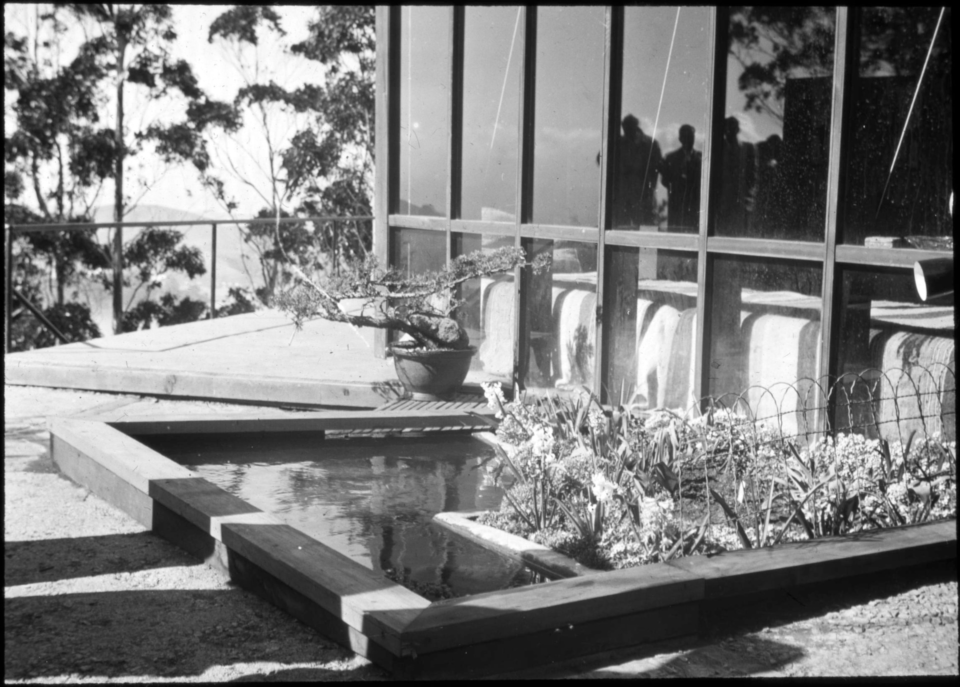 Bonsái junto a un estanque en un balcón, 1945