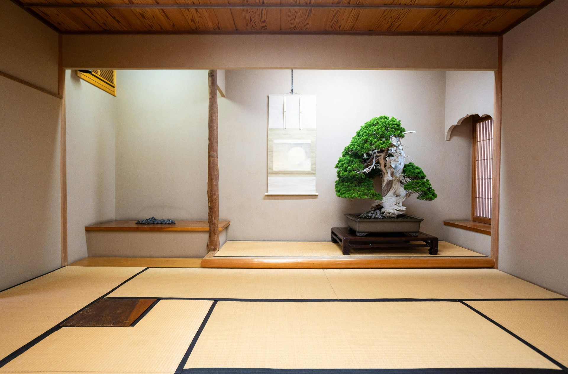 Bonsái expuesto en una sala de tatami en Japón