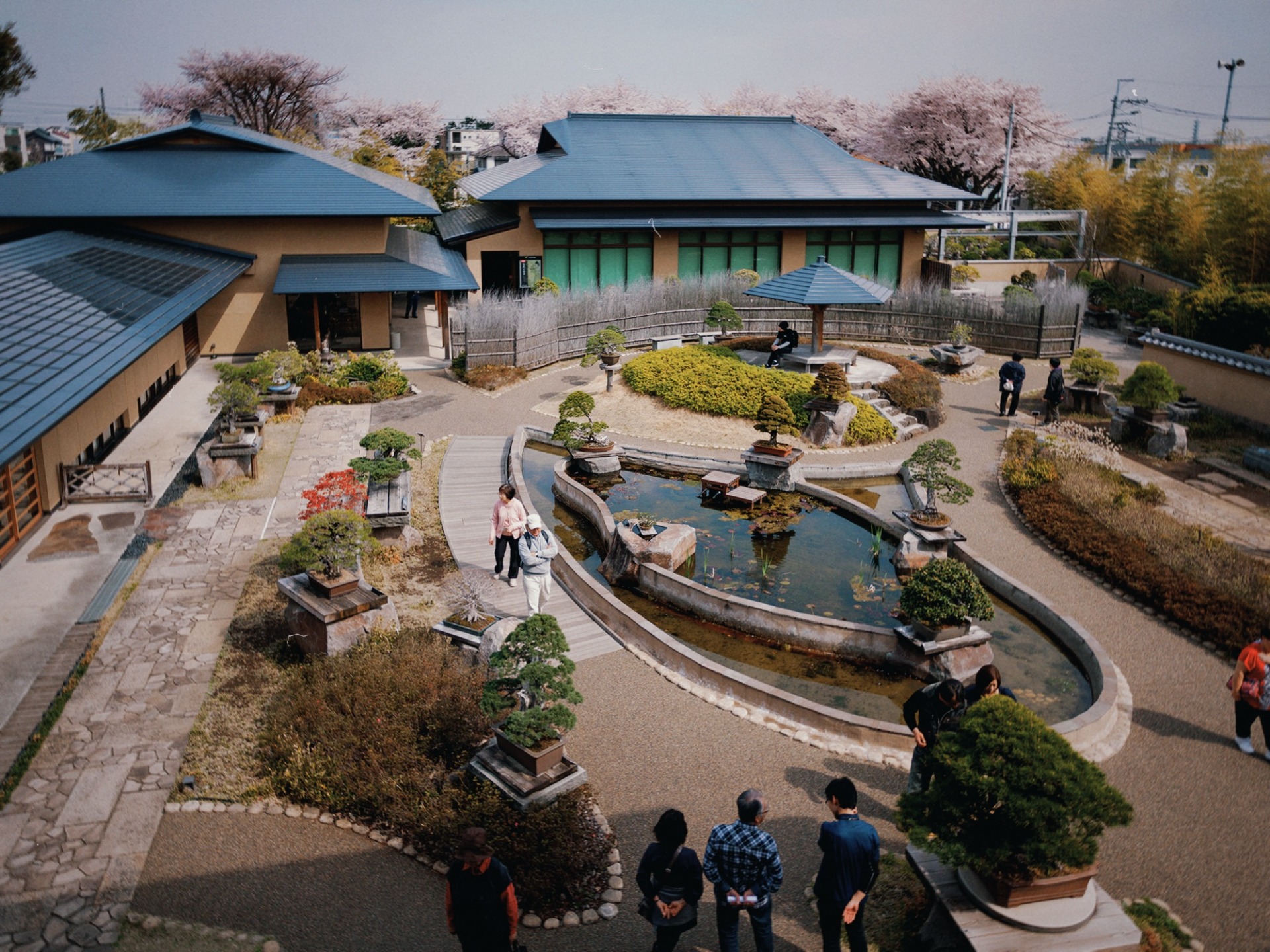 Vista del jardín exterior del Museo del Bonsái Omiya en Saitama