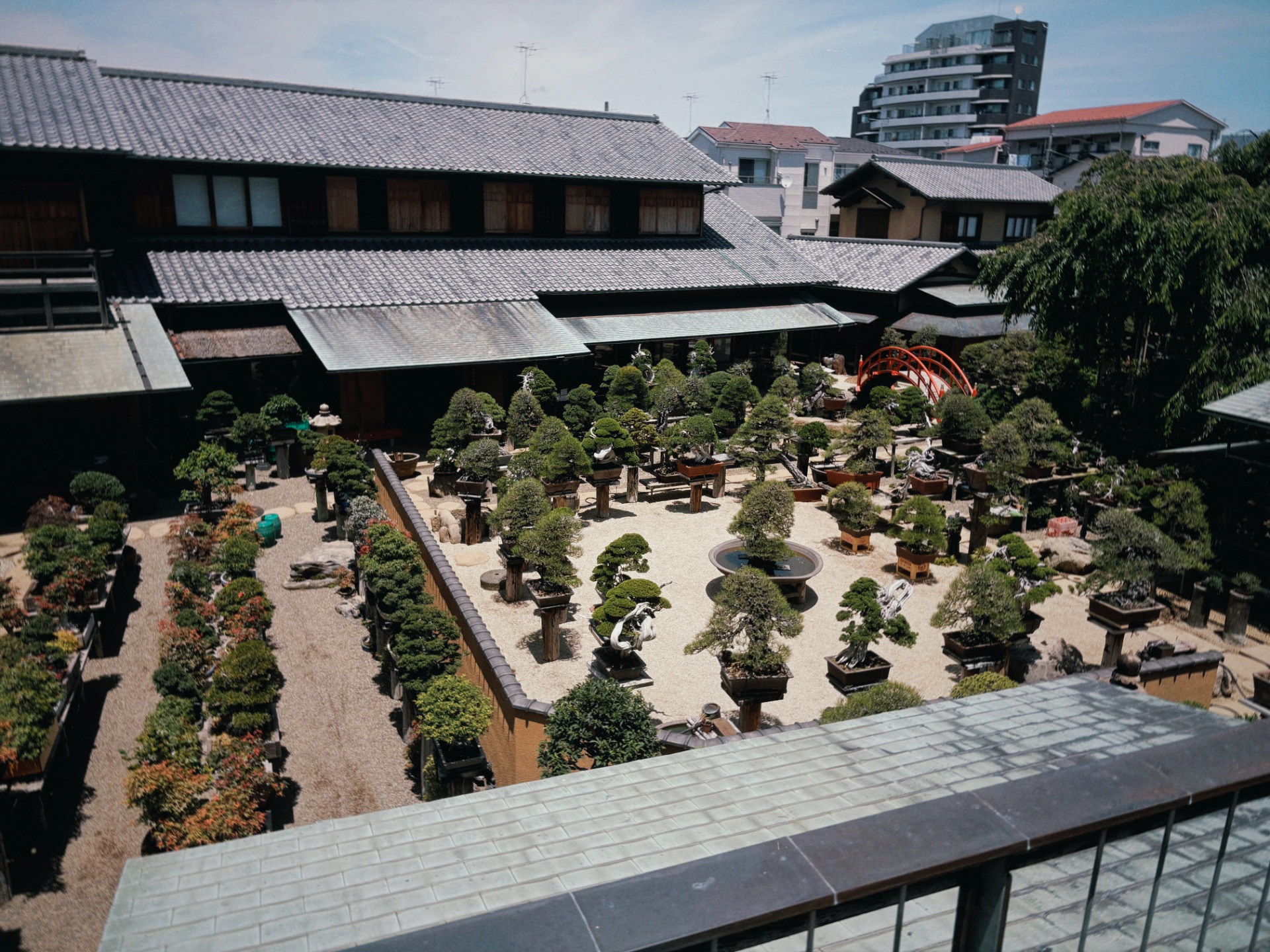Colecciones de bonsáis en el Shunkaen Bonsai Museum de Tokio