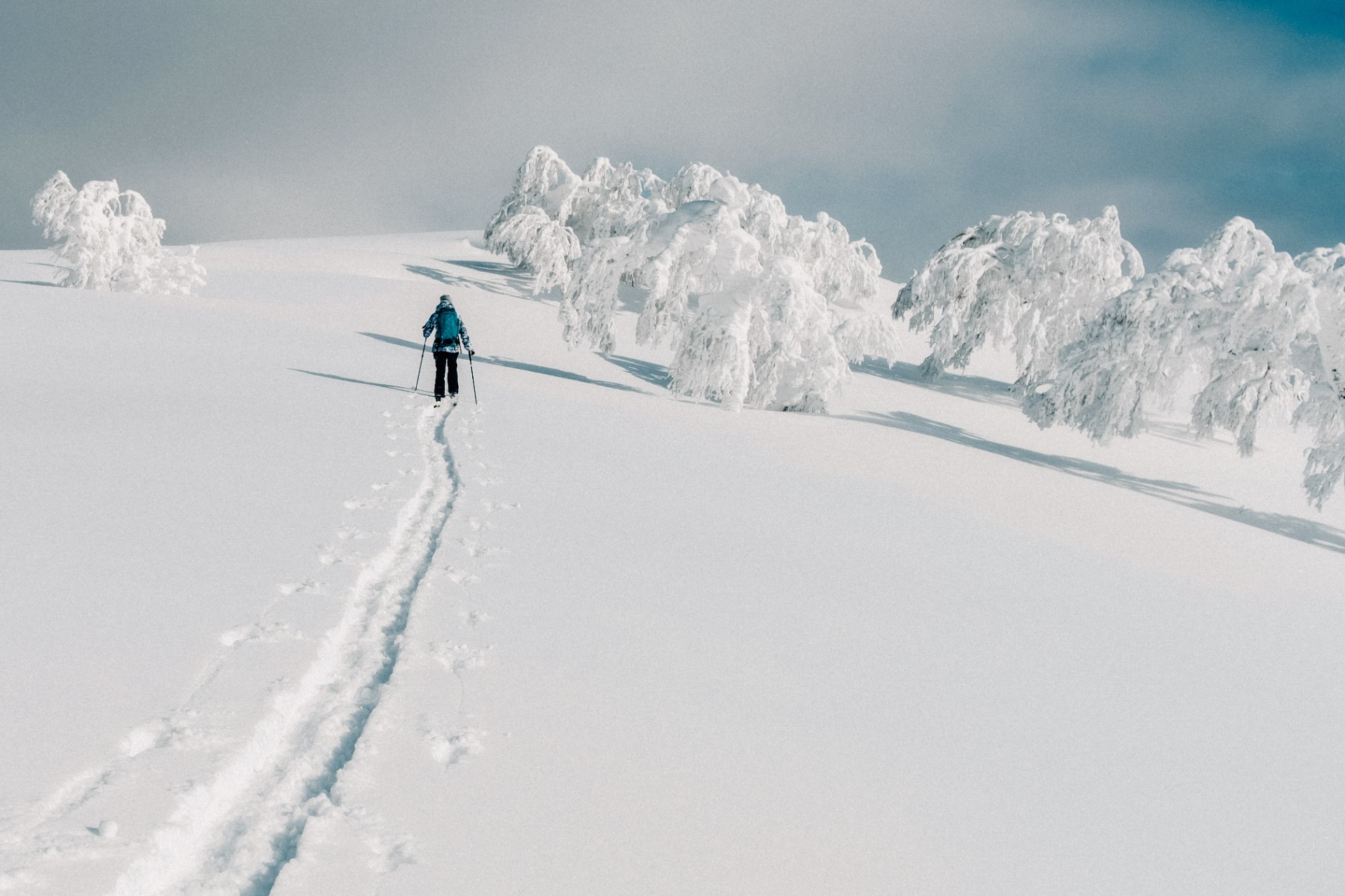 Viajero recorriendo un paisaje nevado en Japón en invierno
