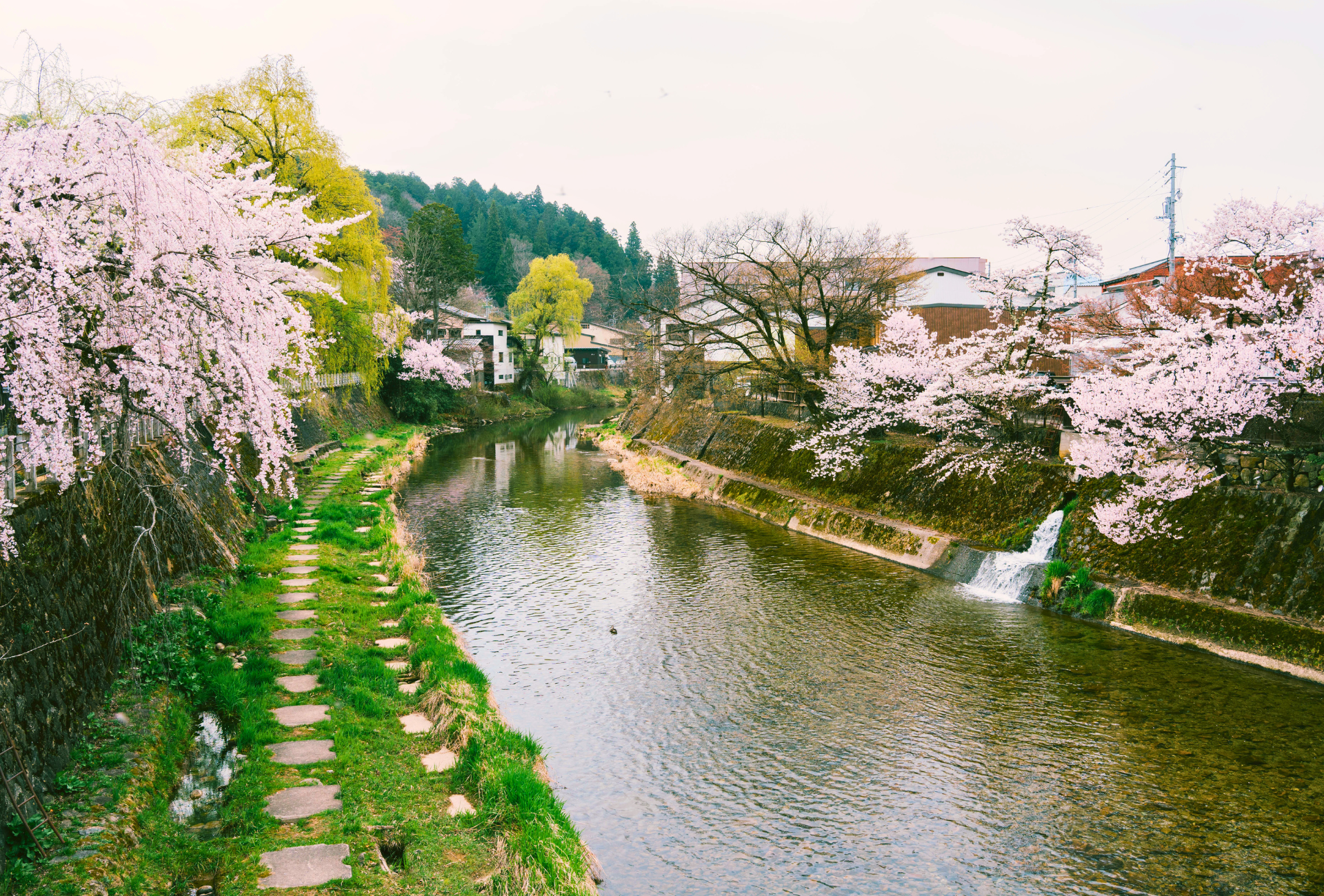 Vista de Takayama con cerezos en flor en primavera