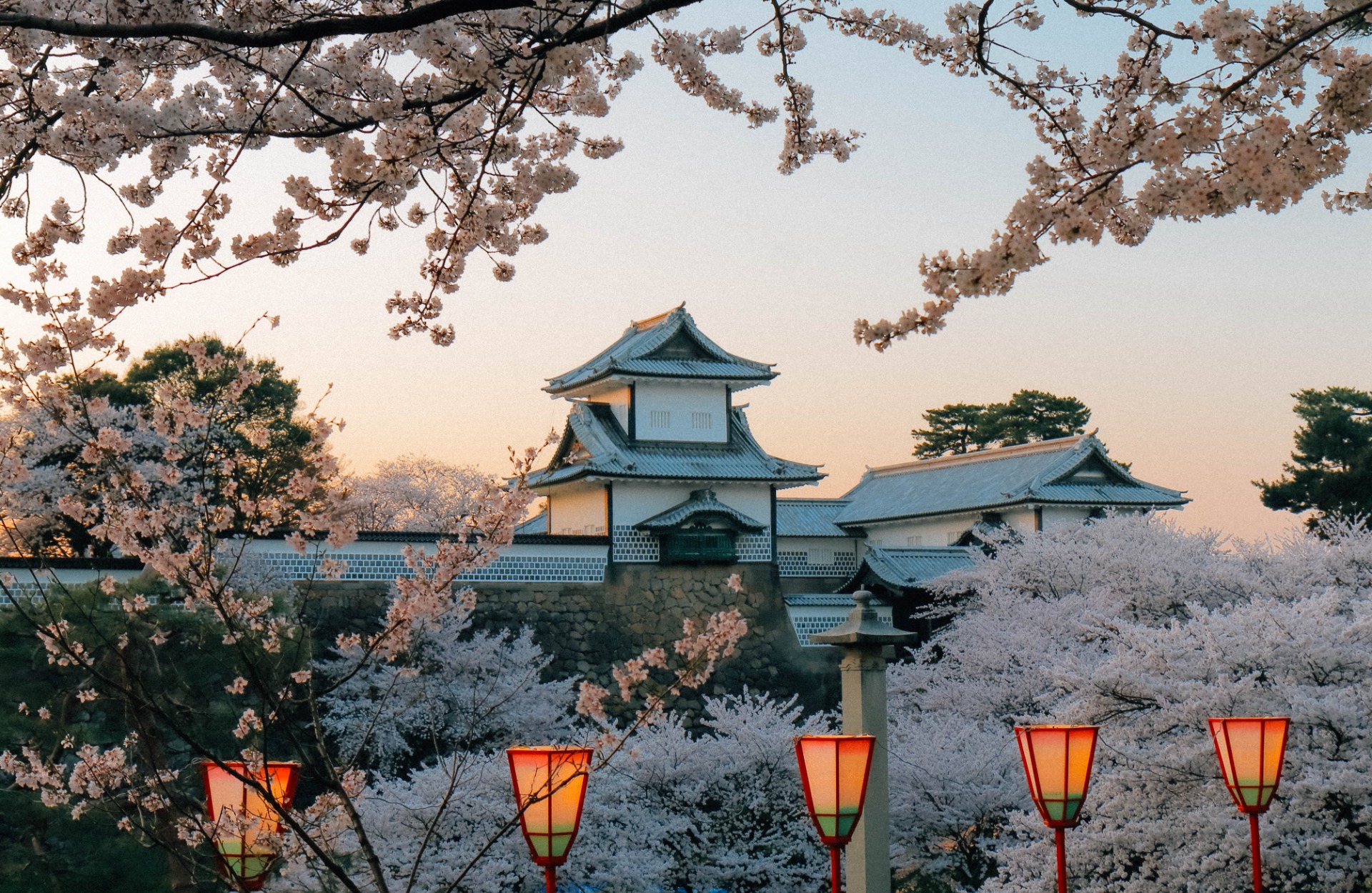 Castillo de Kanazawa entre los cerezos