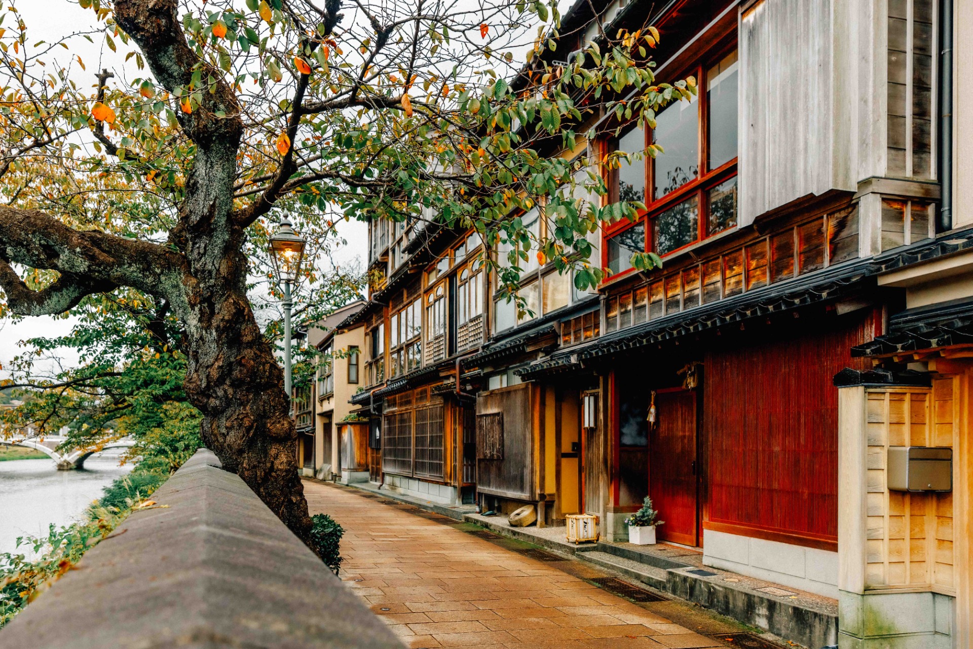Kazue machi chaya