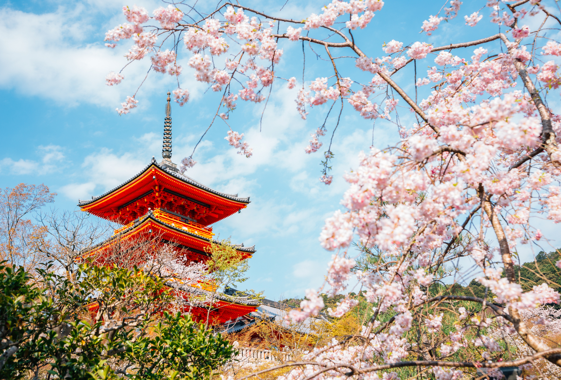 Detalle del Kiyomizudera con los cerezos en flor