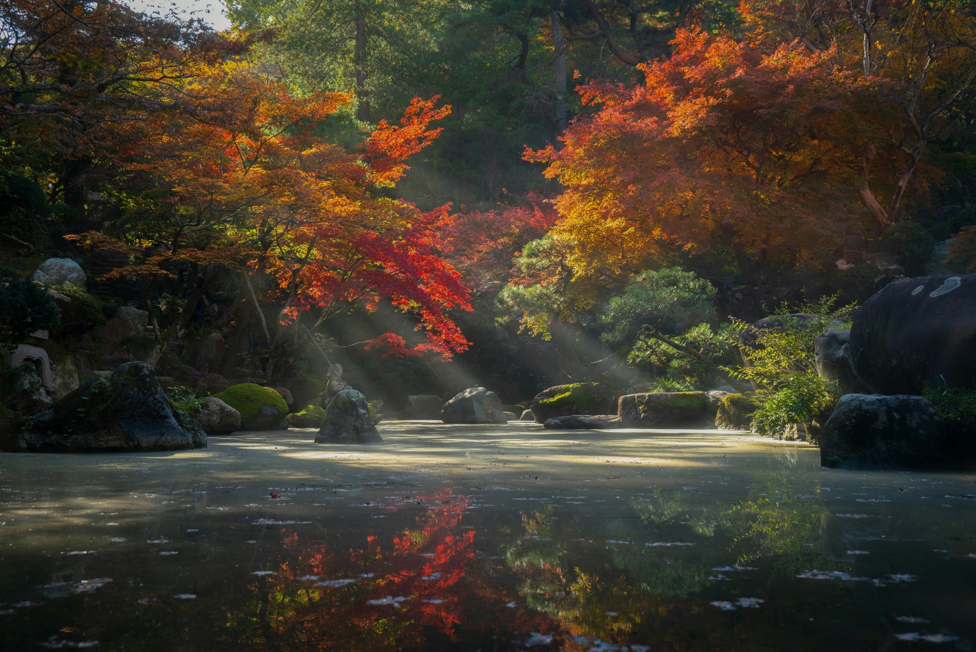 Vista del jardín Tokumeien en Takasaki