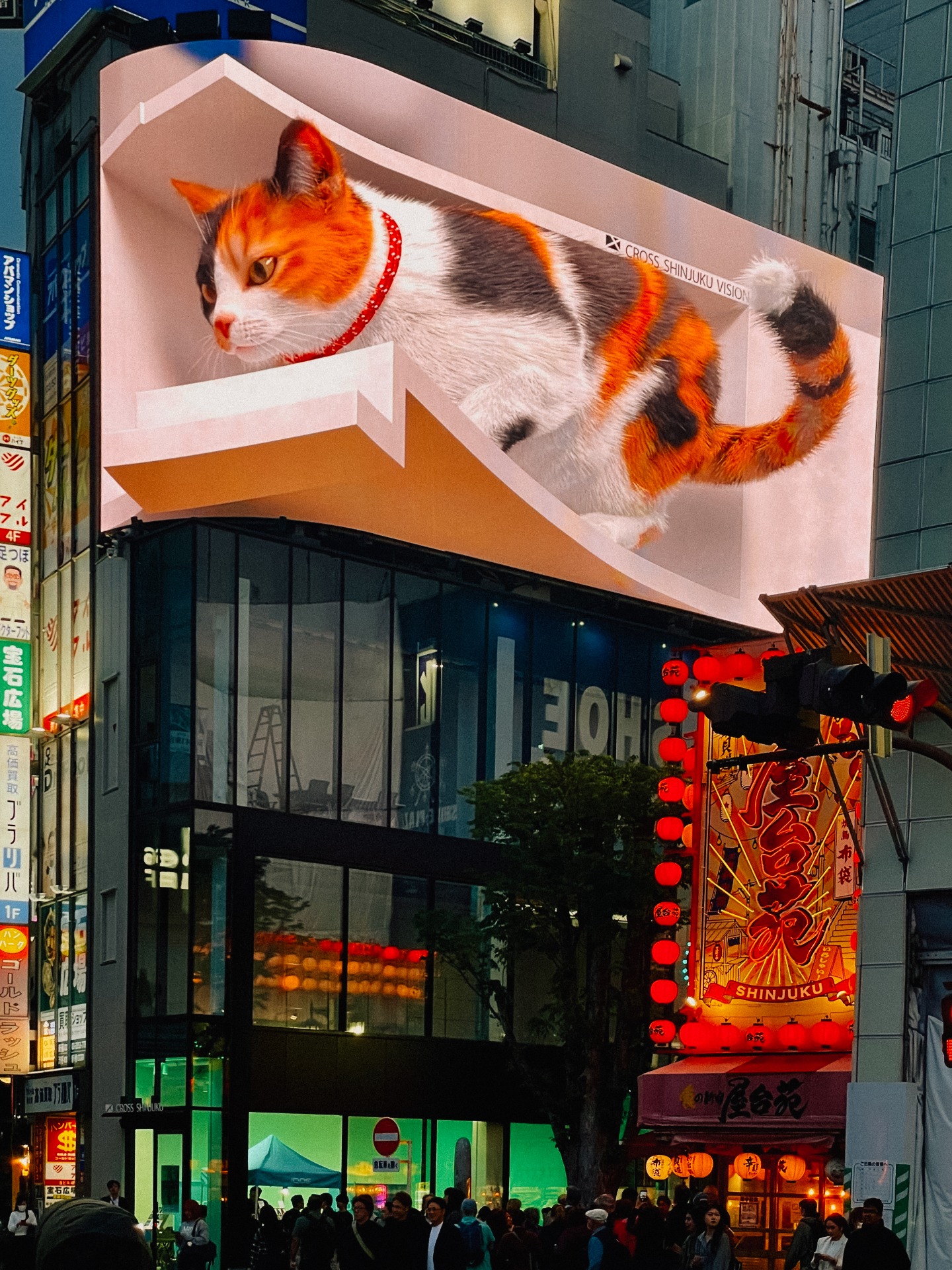 Shinjuku 3D Cat