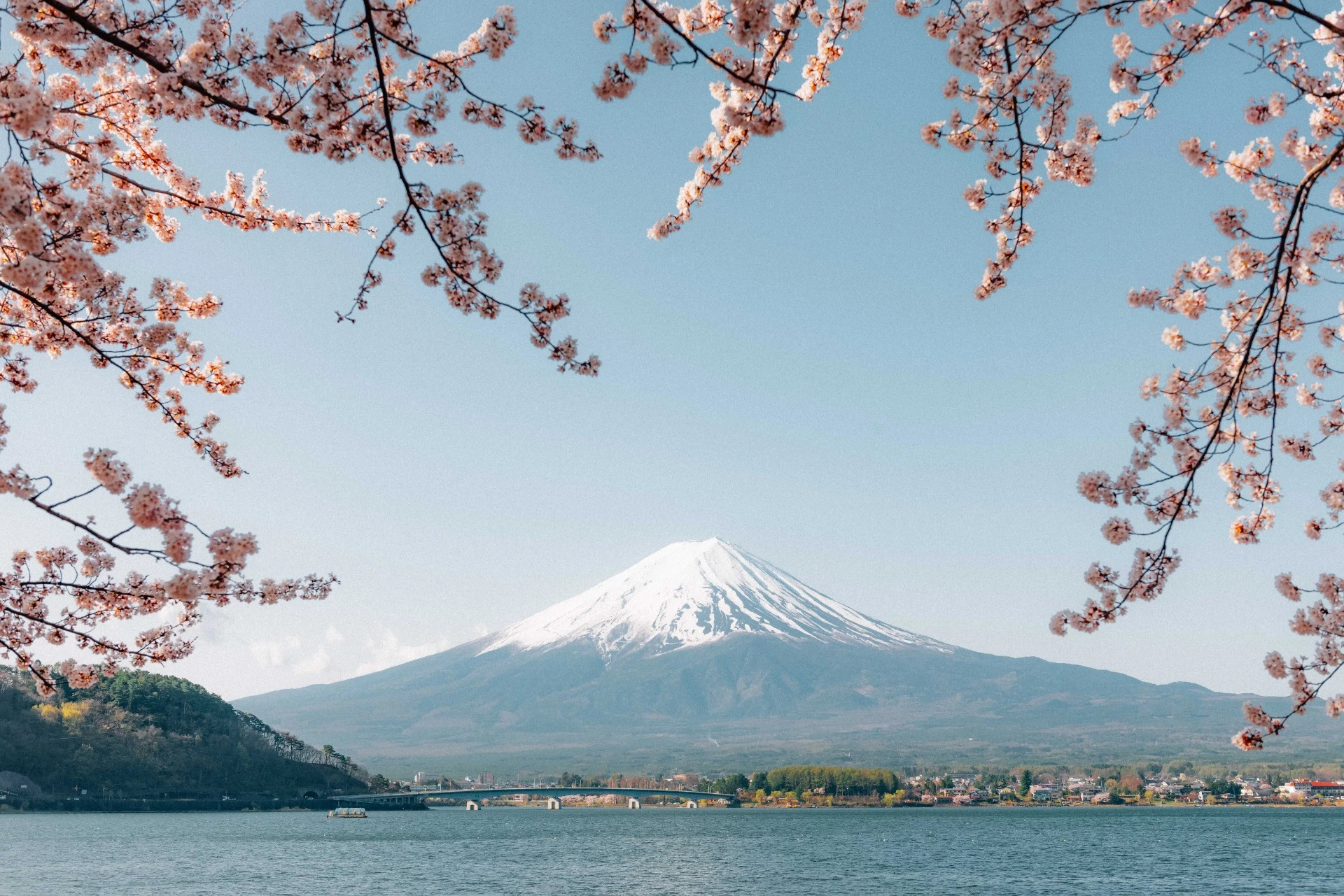 Vista del monte Fuji con los cerezos en flor