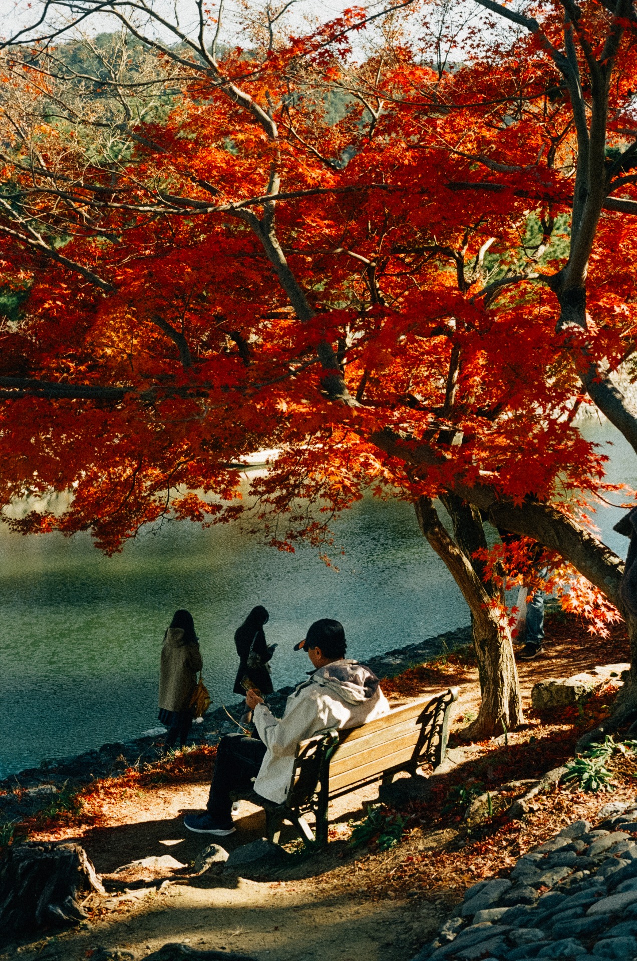 Gente disfruta del momiji en Uji junto al río