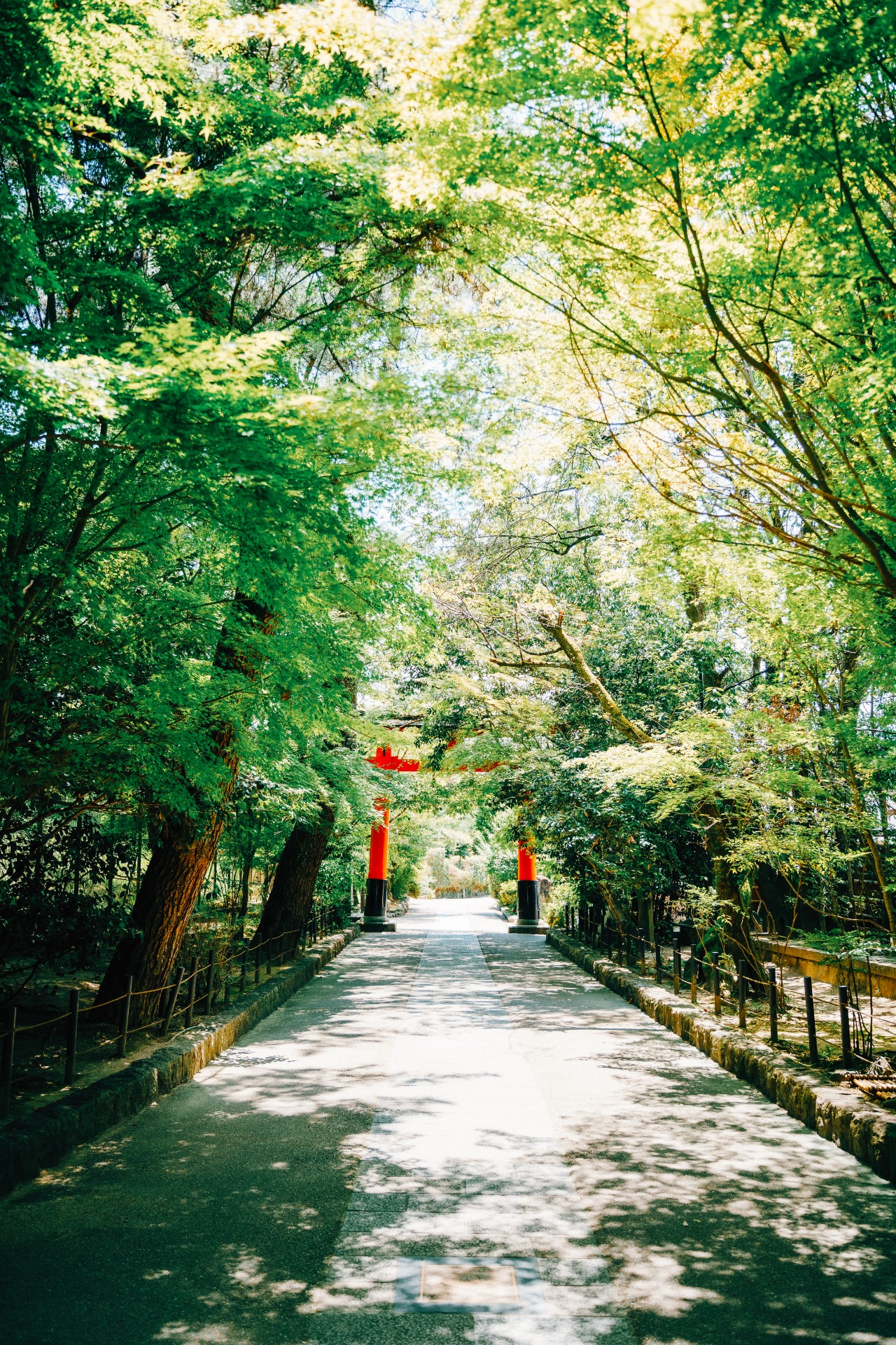 Una puerta torii en Uji