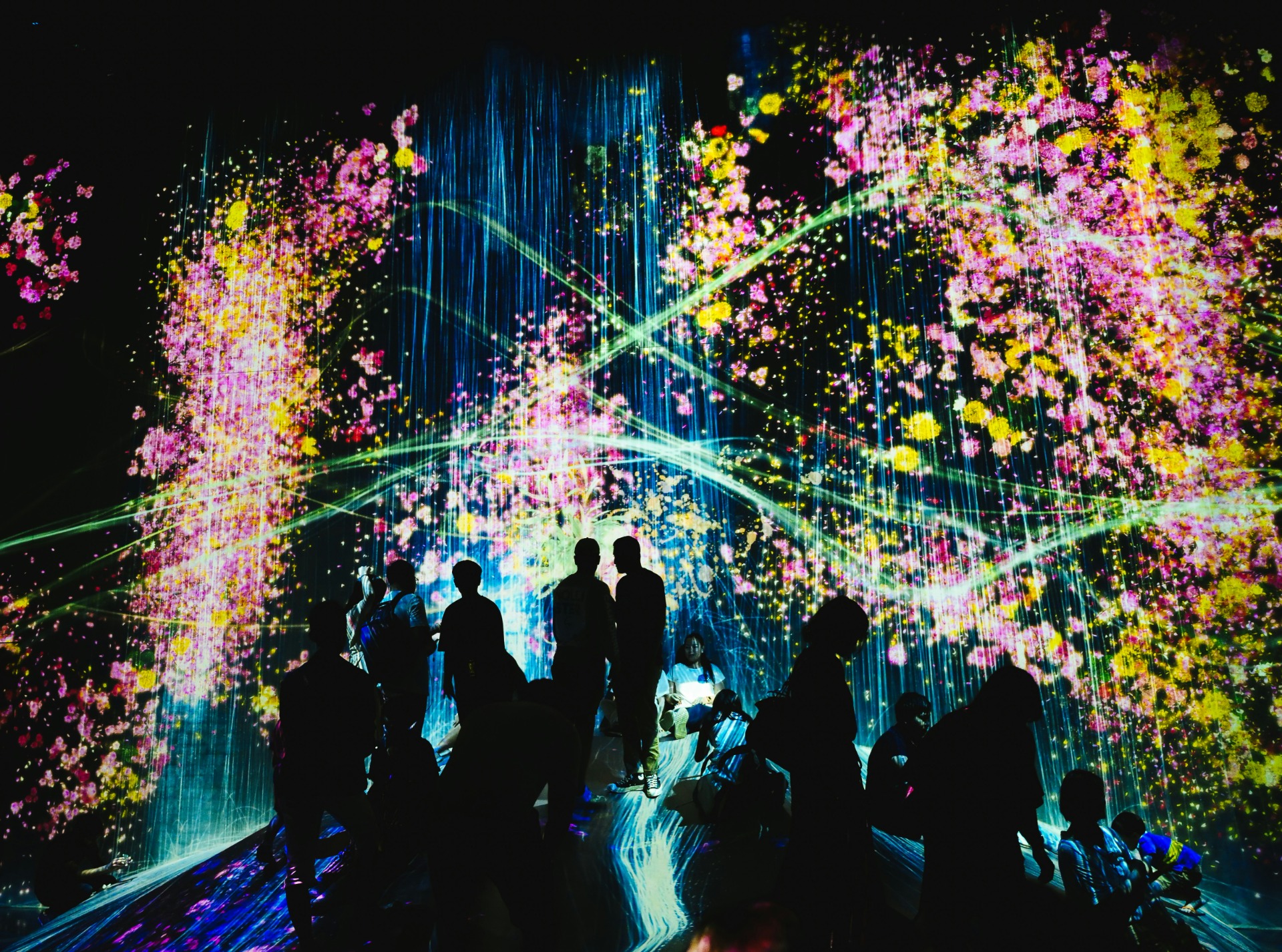 Visita el museo teamLab Borderless