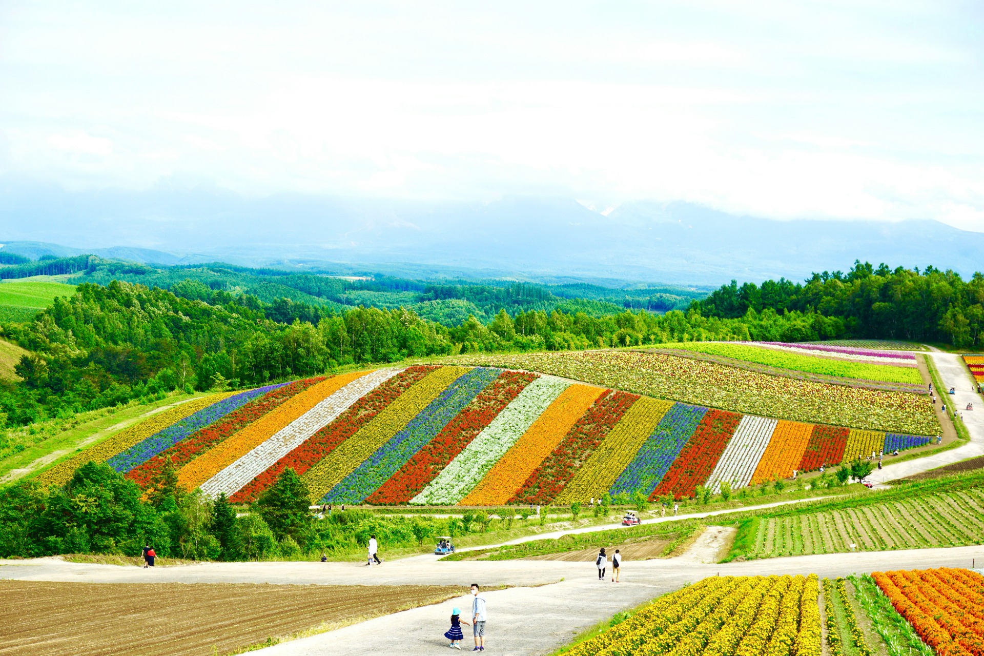 Paisaje veraniego en Hokkaido
