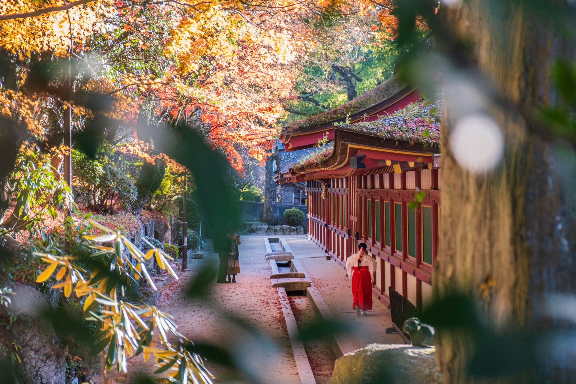 Santuario Dazaifu Tenmangu en Fukuoka