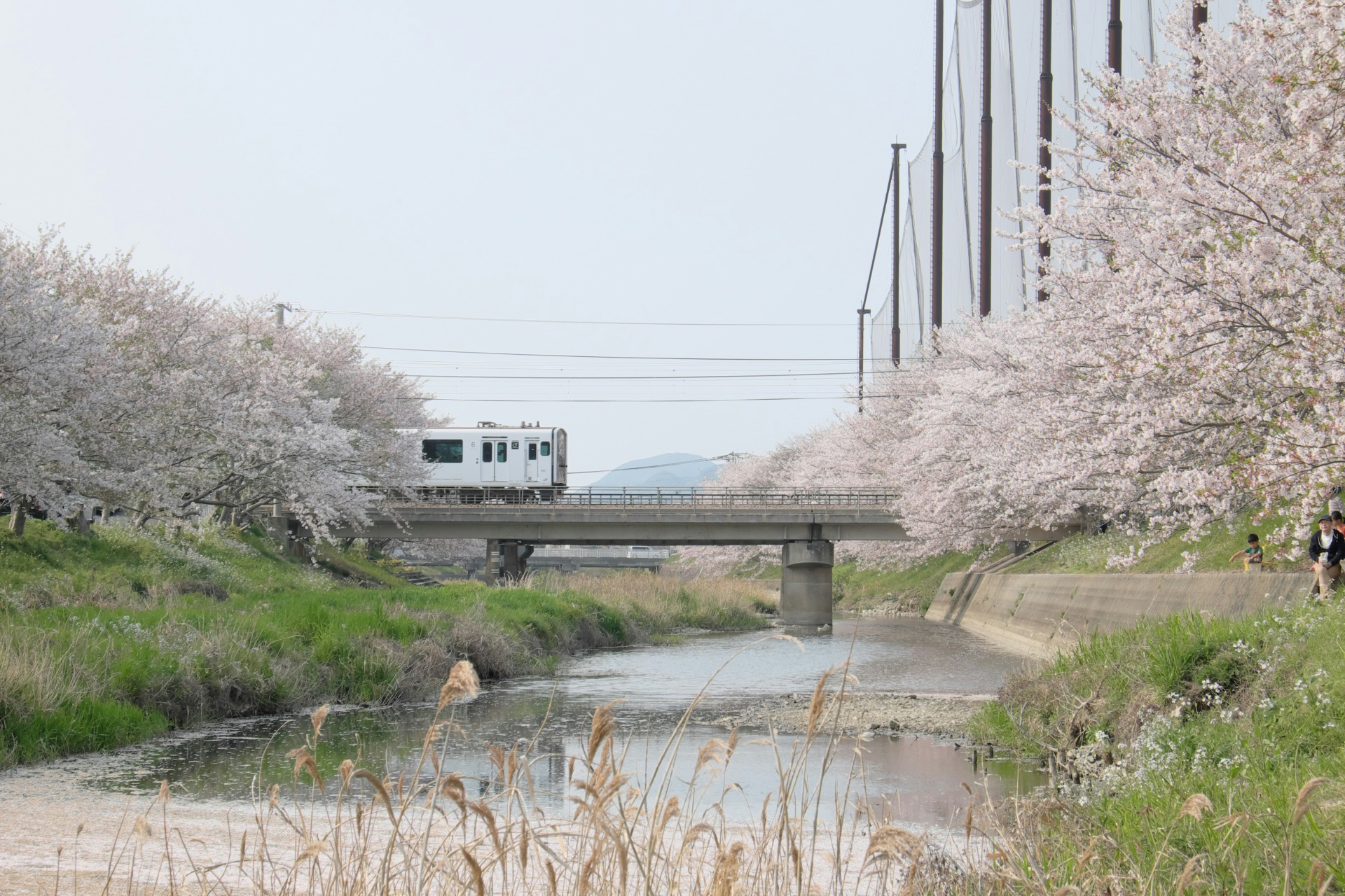 Un tren en la zona de Fukuoka