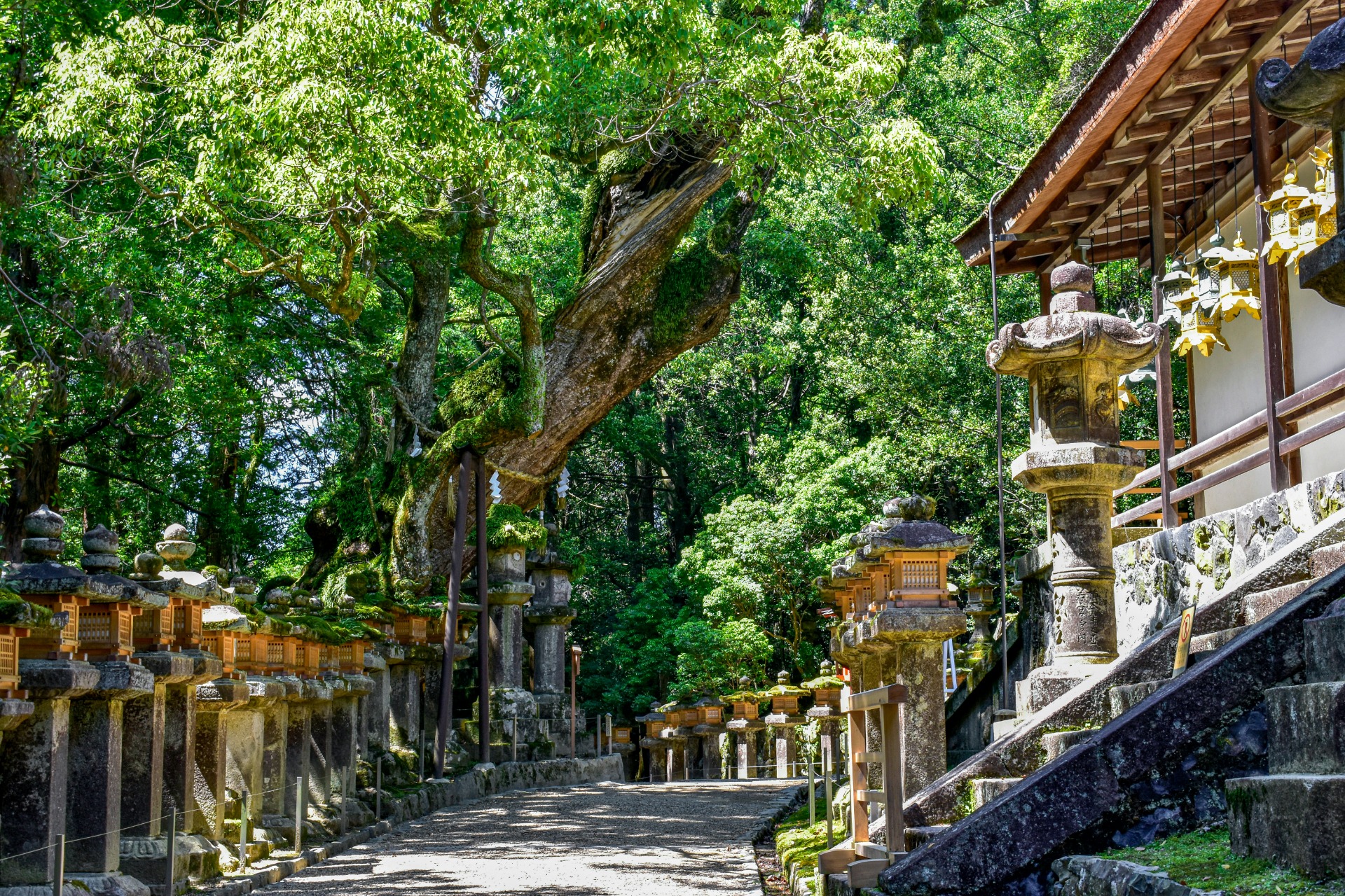 Kasuga Taisha en Nara