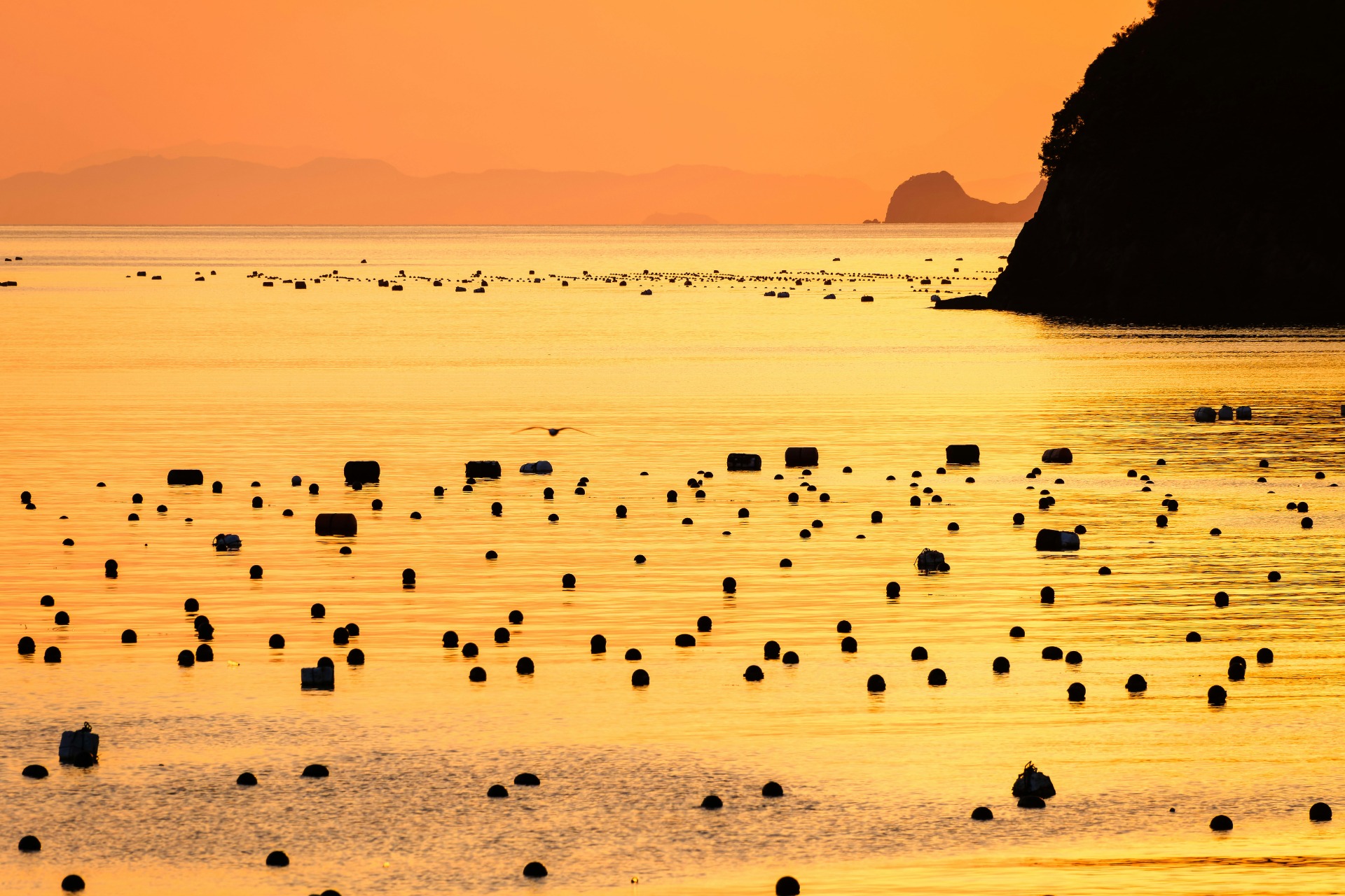 Vistas del mar en Ainan, Ehime