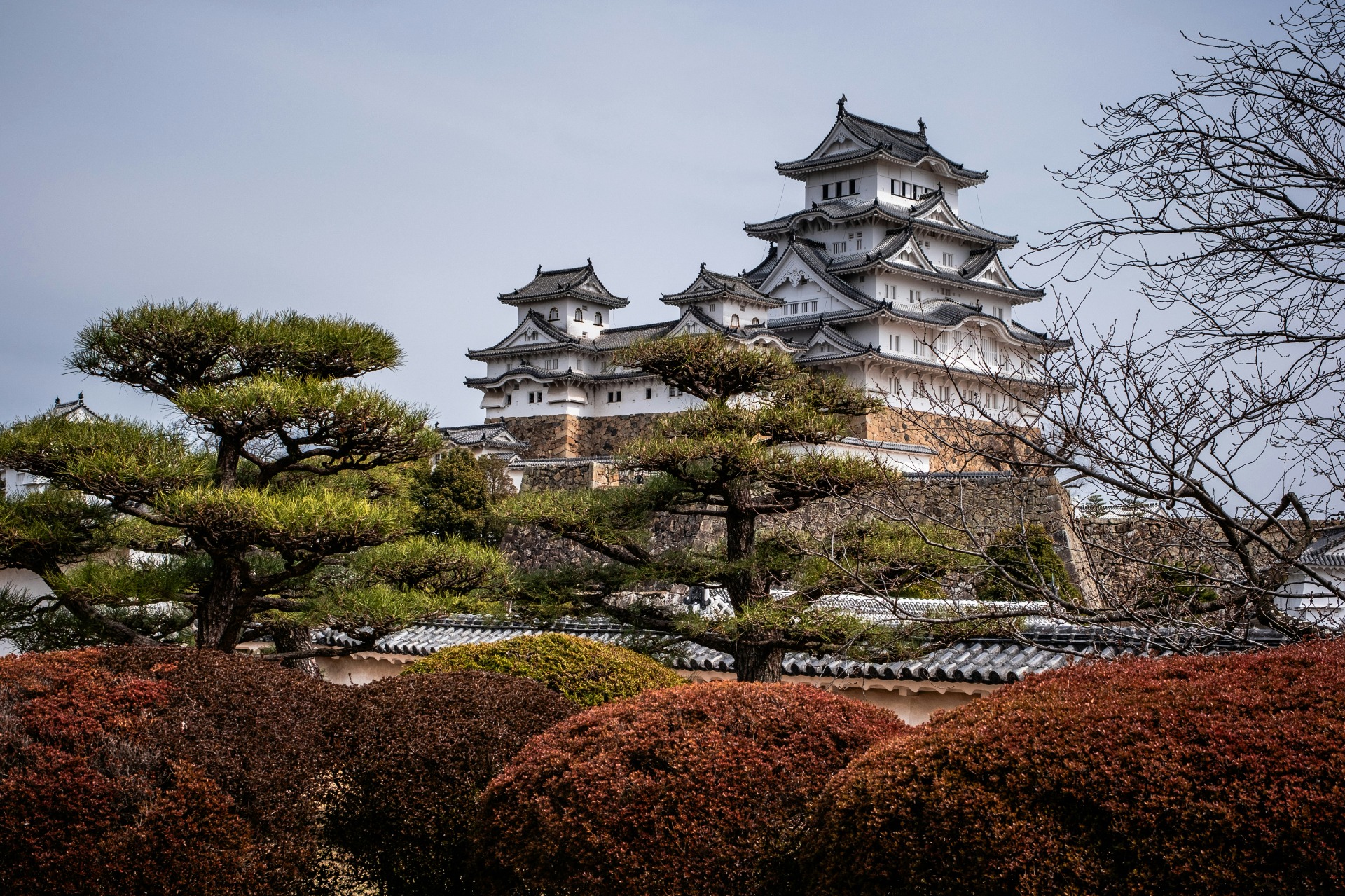 Vista del castillo de Himeji
