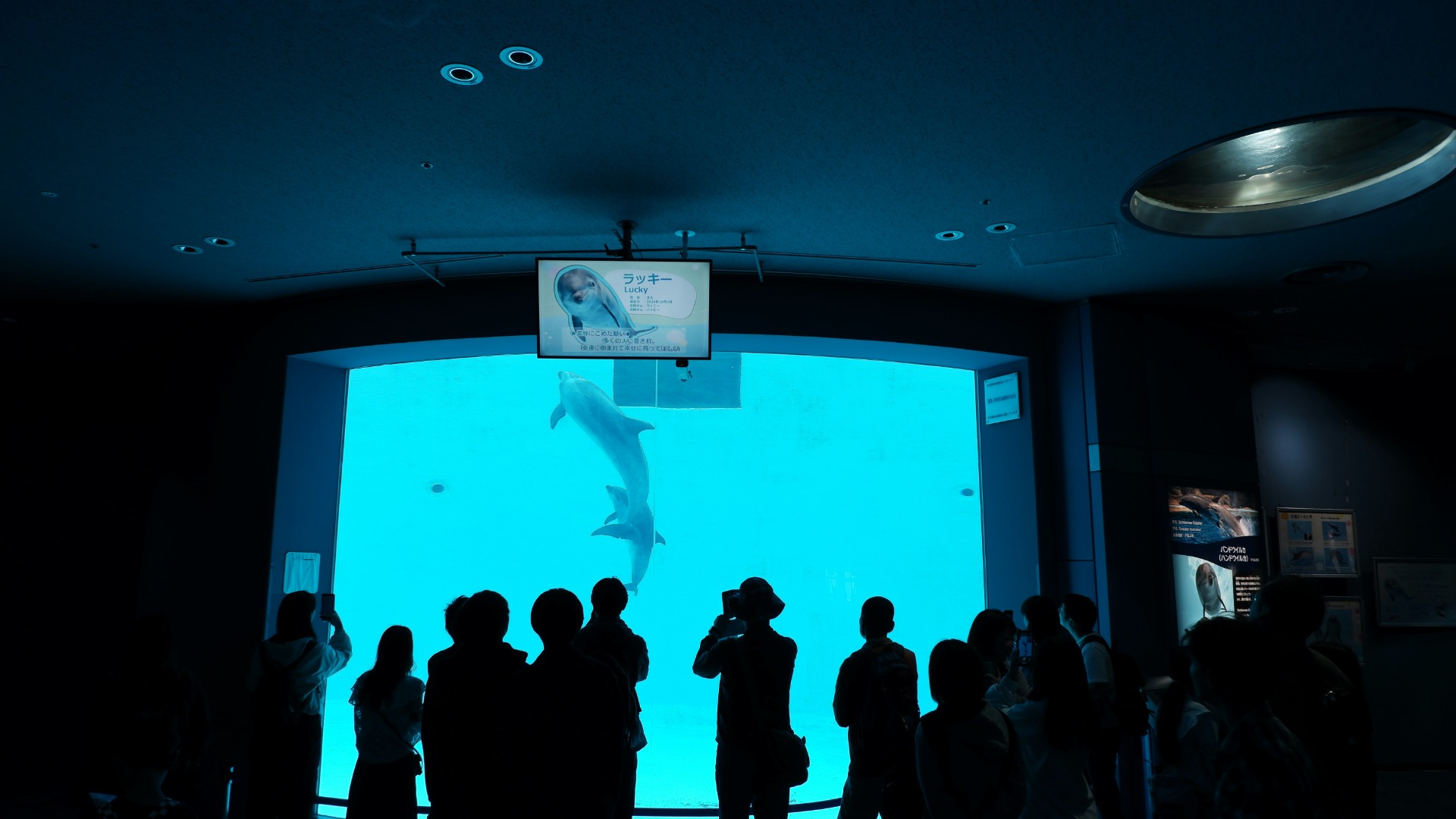 Acuario público de Nagoya