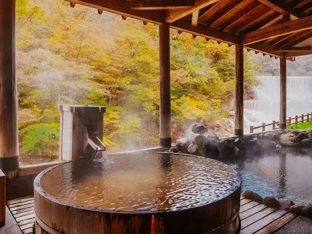 Baño termal de madera bajo un tejado, con vistas al bosque en otoño