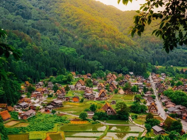 Vista de Shirakawa-go desde el mirador, con casas de tejado de paja entre arrozales y montañas