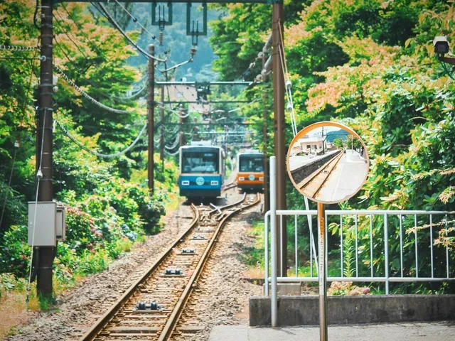 Tren de montaña de Hakone subiendo entre el bosque