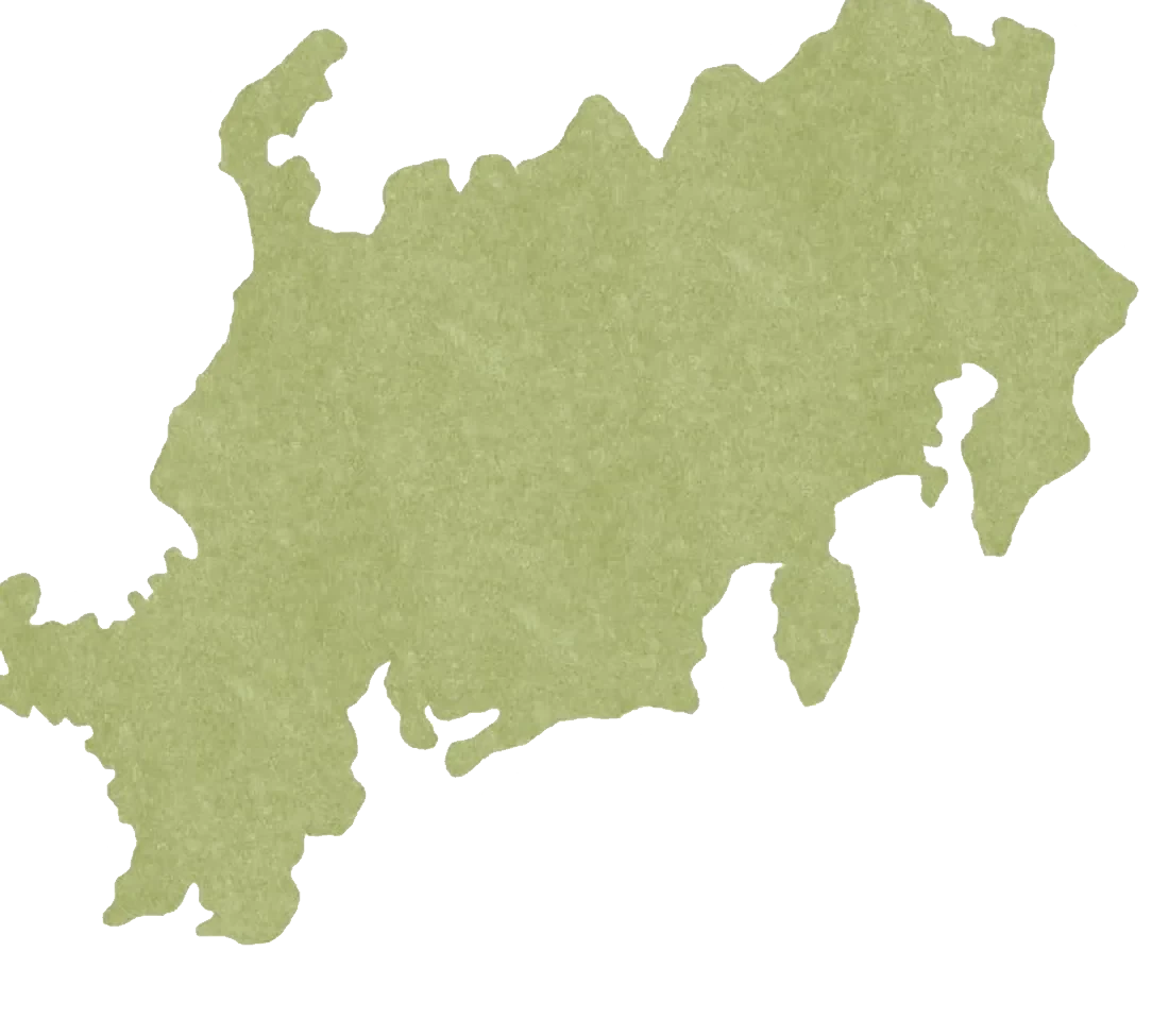 Mapa ilustrado de Japón con la ruta de luna de miel en 15 días. Osaka, Nara de camino, Kioto, Hakone y Tokio