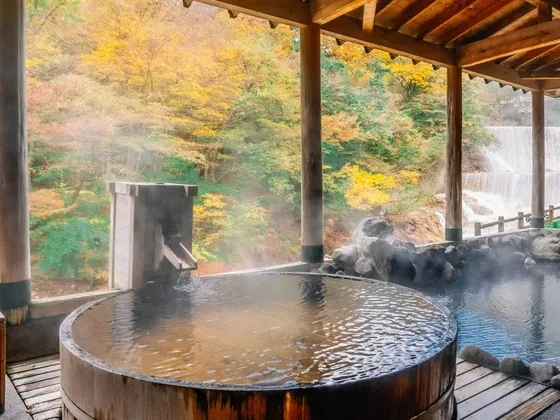 Onsen privado de madera al aire libre, con vistas al bosque y una cascada