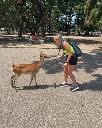 Clienta de Japonal dando de comer a un ciervo en el parque de Nara